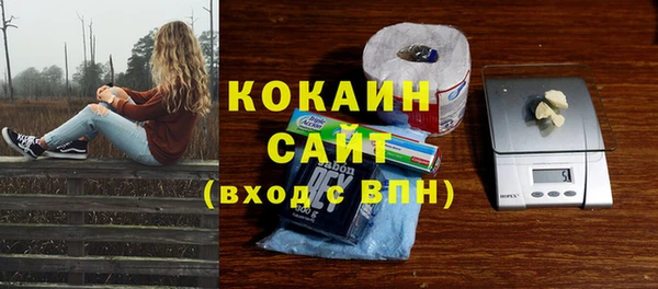 мяу мяу мука Алзамай