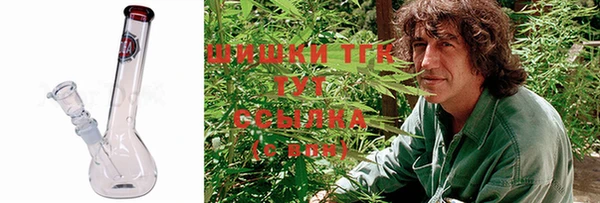 мяу мяу мука Алзамай